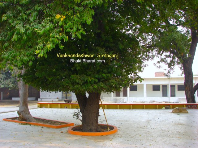 Green Area Green Area