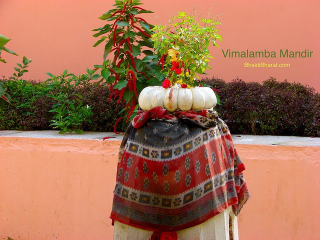 Shri Vimalamba Shakti Peeth Shri Vimalamba Shakti Peeth