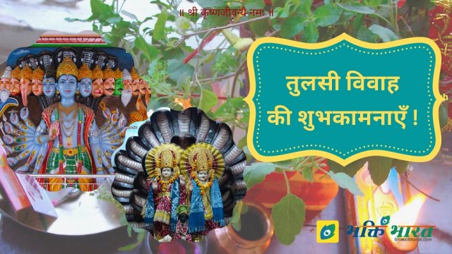 Tulsi Vivah Wishes with Shri Hari Tulsi Vivah Wishes with Shri Hari